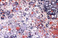 Marbling painting