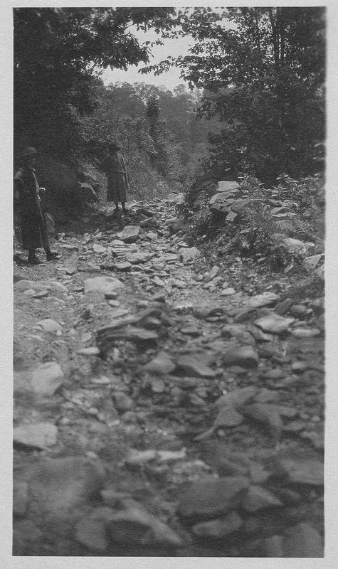 The road to Sugarlands 5/26/24. | Digital Collections